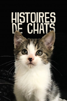 Die geheime Welt unserer Katzen