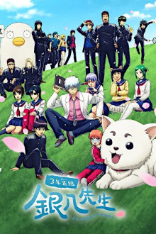 Gintama: 3-nen Z-gumi Ginpachi-sensei 
