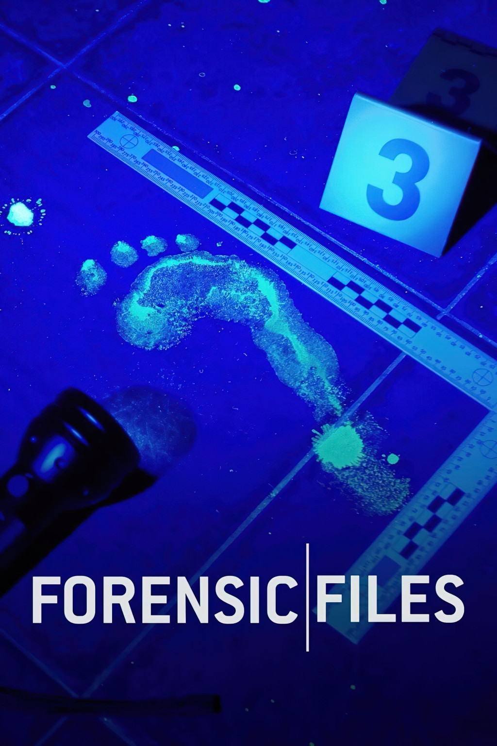 Medical Detectives - Geheimnisse der Gerichtsmedizin
