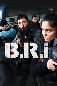 The Brigade