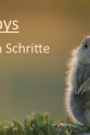 Tierbabys – Die ersten Schritte