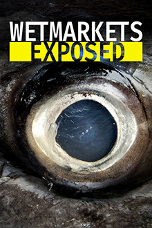 Wet Markets Exposed