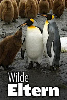 Wilde Eltern