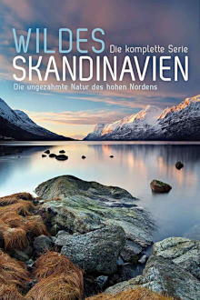 Wildes Skandinavien