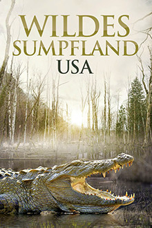 Wildes Sumpfland