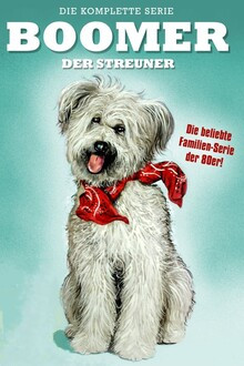 Boomer, der Streuner