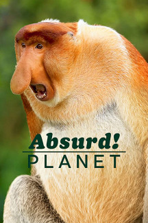 Verrückter Planet