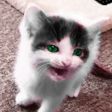 Mjrna
