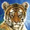 Tiger3103 avatar