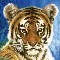 Tiger3103