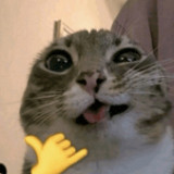 Test213251 avatar