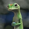 Gecko05
